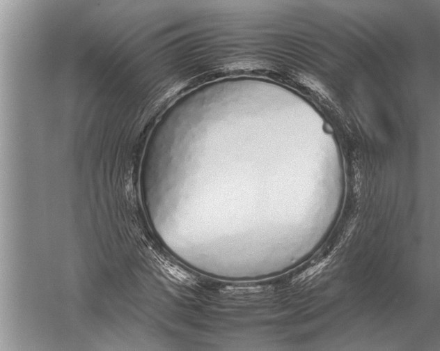 X0000057060825200510010105