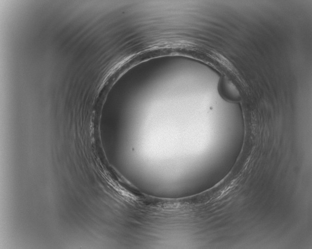 X0000057060826200510010105