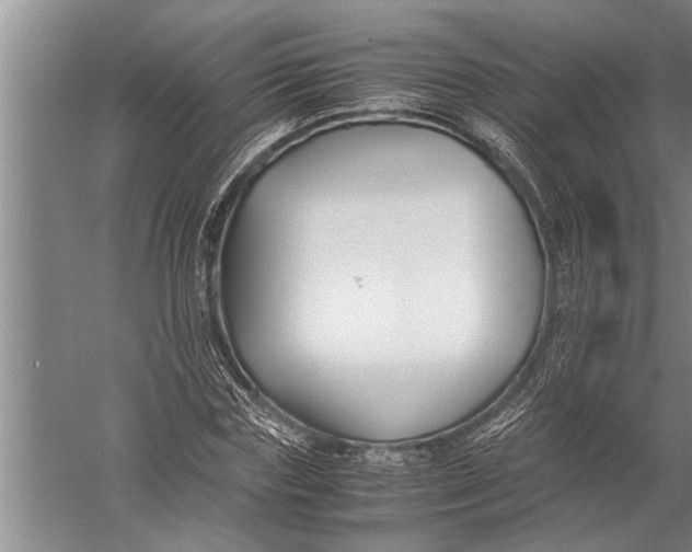 X0000057060827200510010105