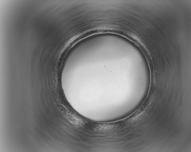 X0000057060829200510010105