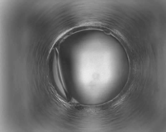 X0000057060830200510010105