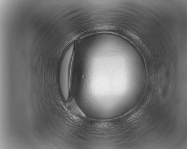 X0000057060833200510010105