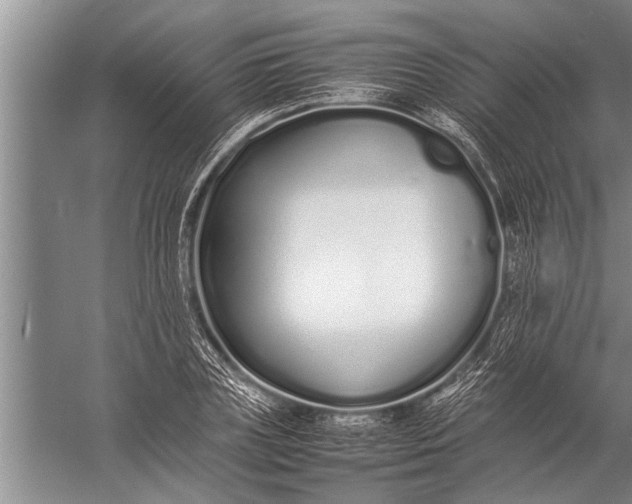 X0000057060835200510010105