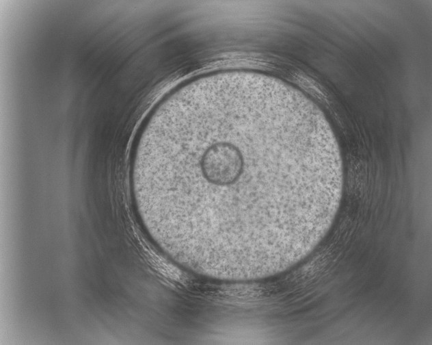 X0000057060836200510010105