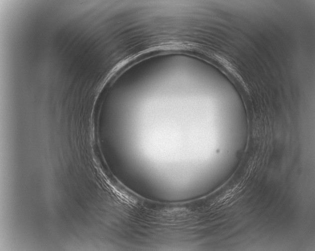 X0000057060837200510010105