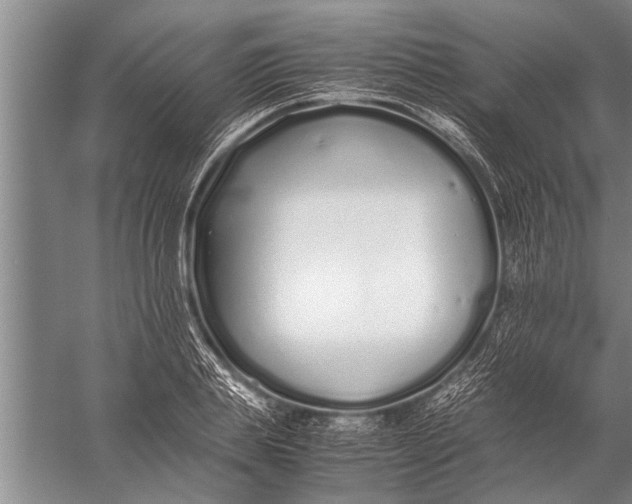 X0000057060839200510010105