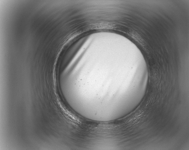 X0000057060840200510010105