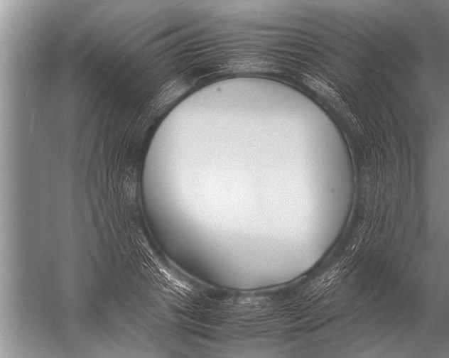 X0000057060841200510010105