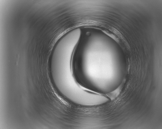 X0000057060842200510010105