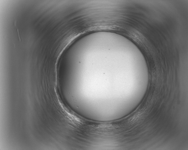 X0000057060844200510010105