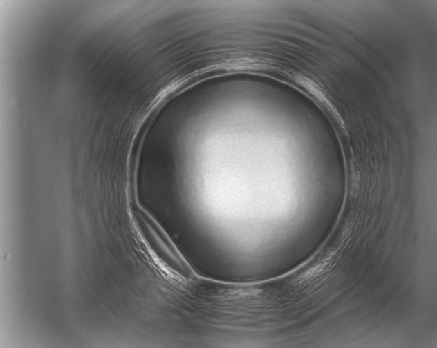 X0000057060845200510010105