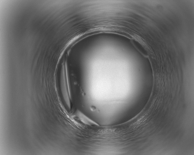 X0000057060846200510010105