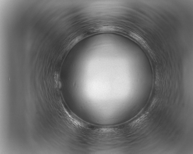 X0000057060849200510010105