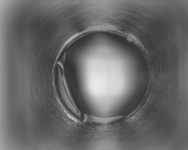 X0000057060854200510010105