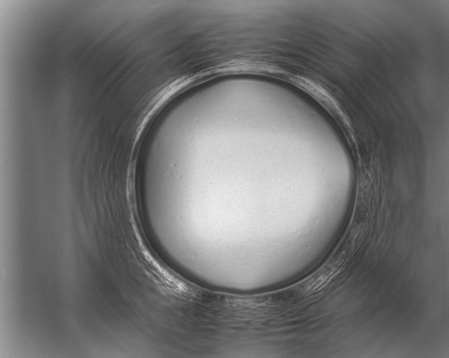 X0000057060855200510010105