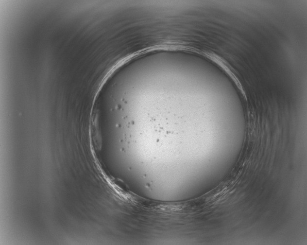 X0000057060861200510010105