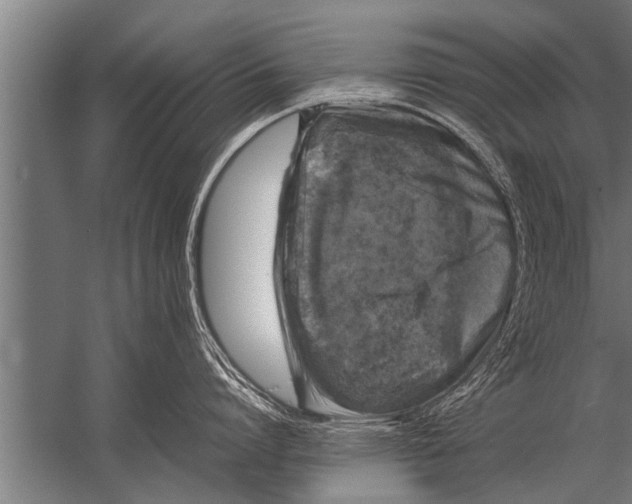 X0000057060864200510010105