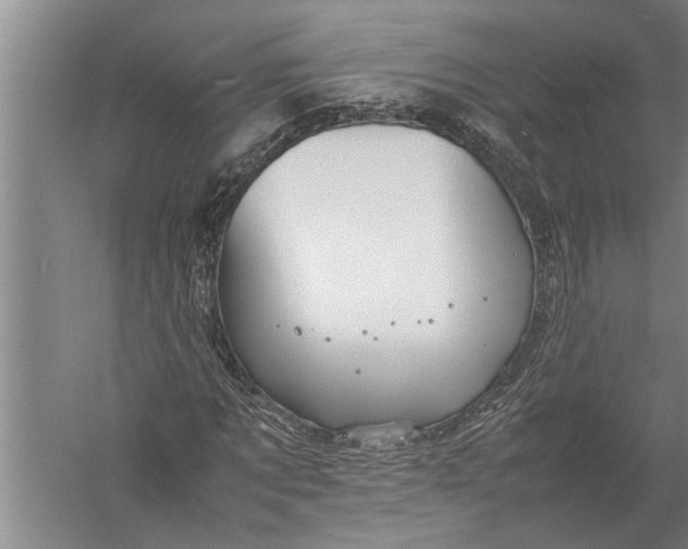 X0000057060869200510010105