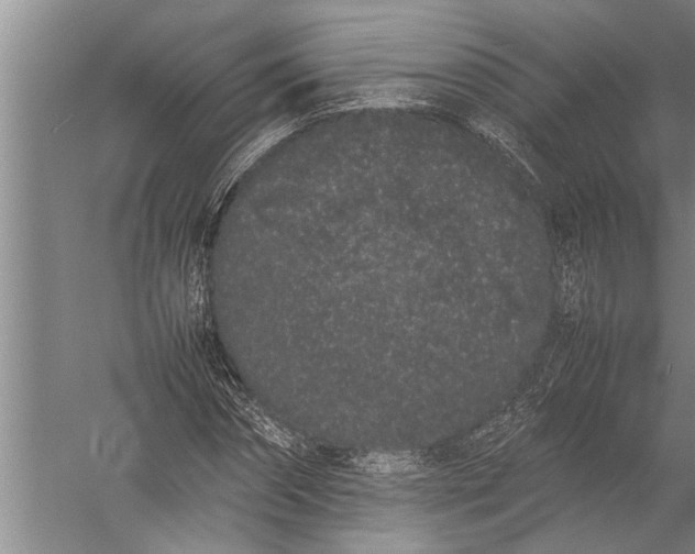 X0000057060874200510010104