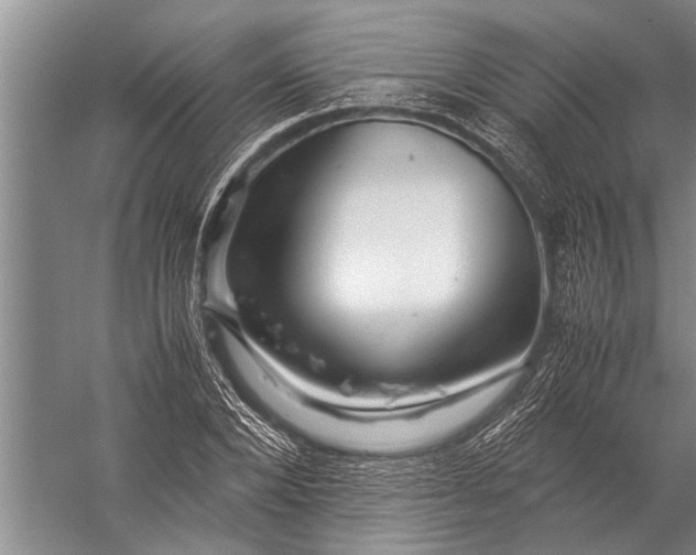 X0000057060880200510010104