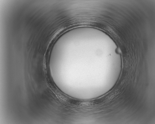 X0000057060883200510010104