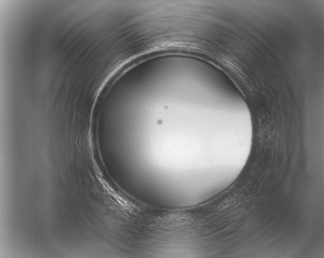 X0000057060888200510010104