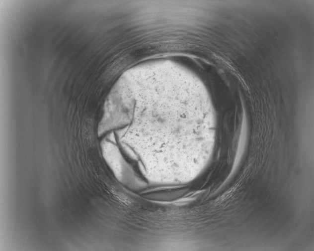 X0000057060889200510010104