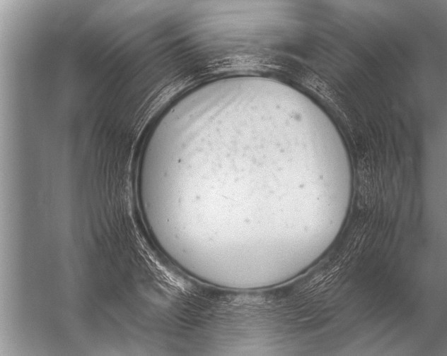 X0000057060890200510010104