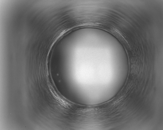 X0000057060892200510010104