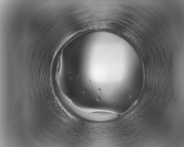 X0000057060894200510010104