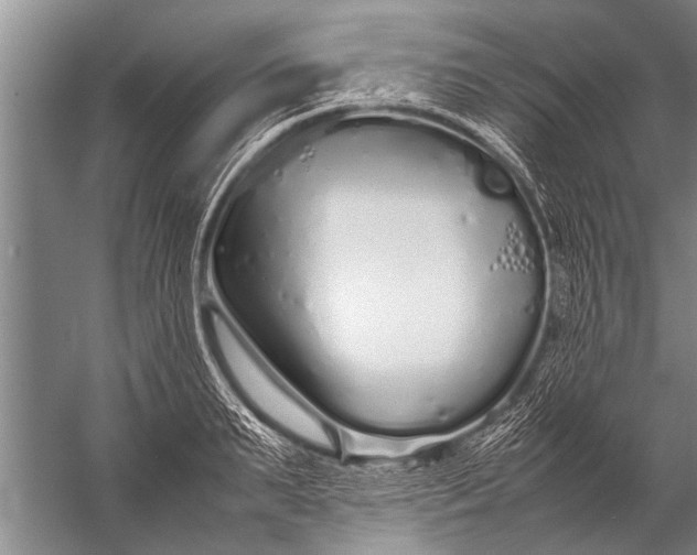 X0000057060895200510010104