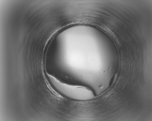 X0000057060896200510010104