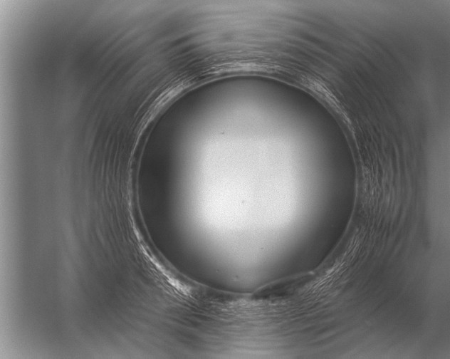 X0000057060898200510010104