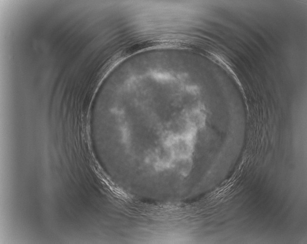 X0000057060899200510010104