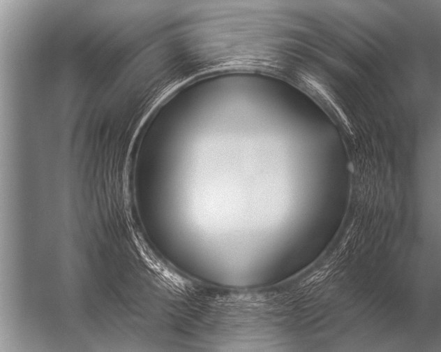 X0000057060900200510010104