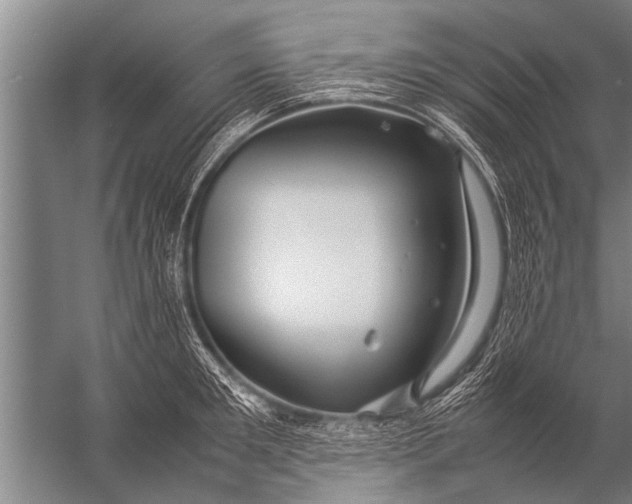 X0000057060901200510010104