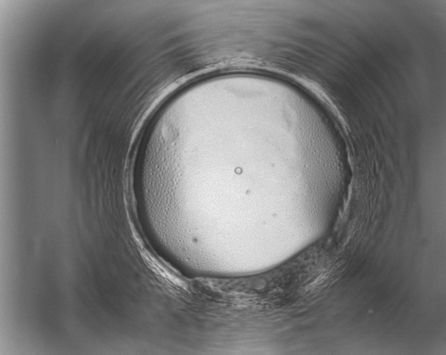 X0000057060903200510010104