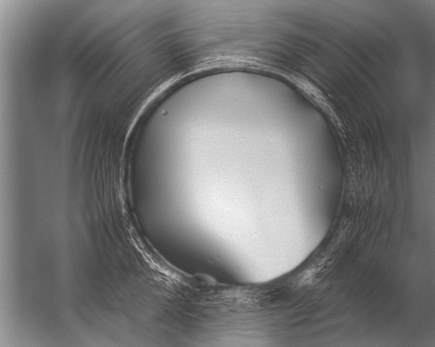 X0000057060904200510010104