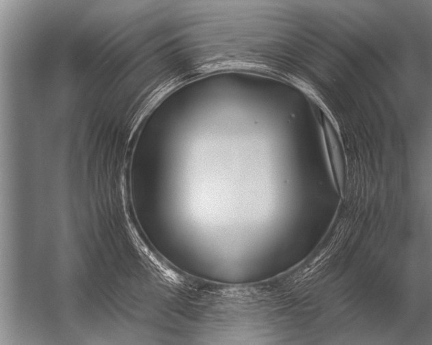 X0000057060906200510010104