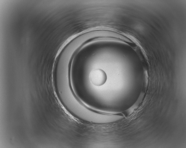 X0000057060910200510010104