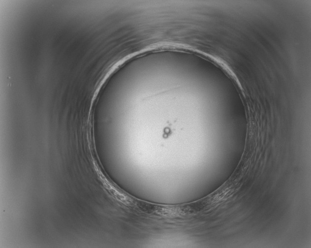 X0000057060911200510010104