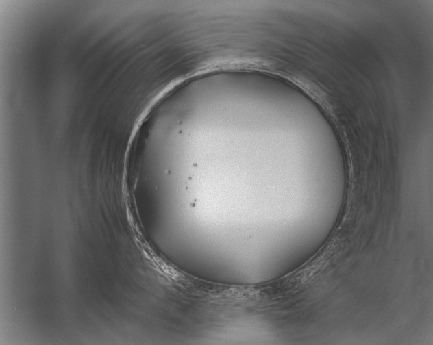 X0000057060912200510010104