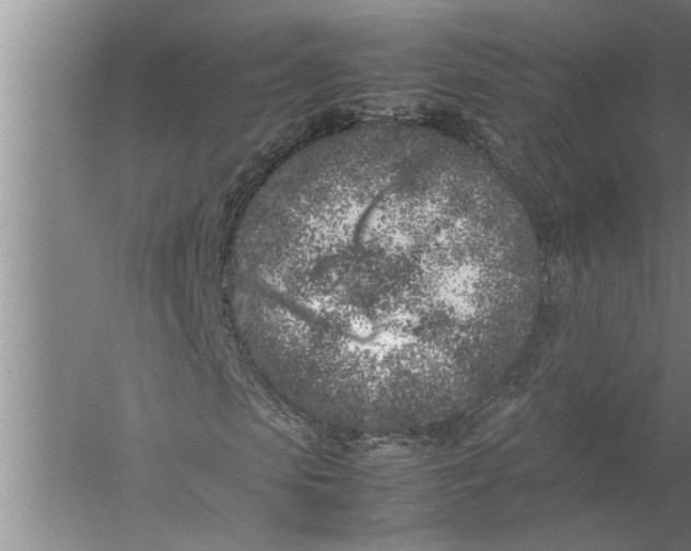 X0000057060913200510010103