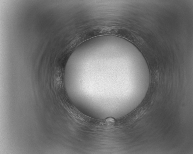 X0000057060914200510010103