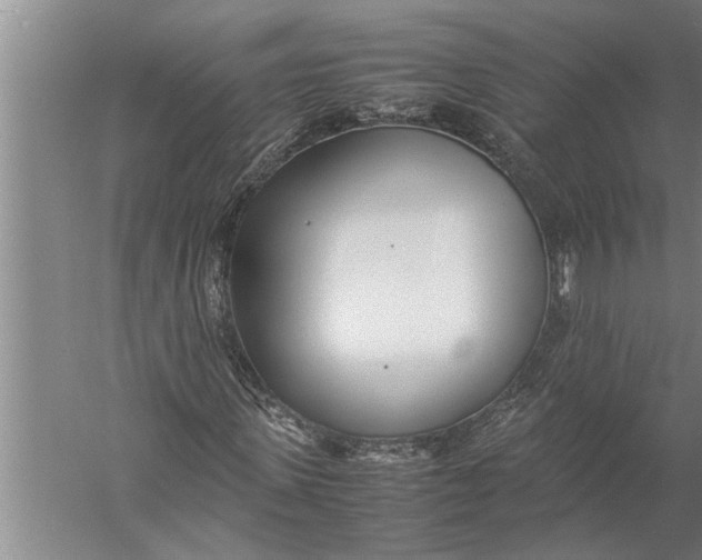 X0000057060915200510010103