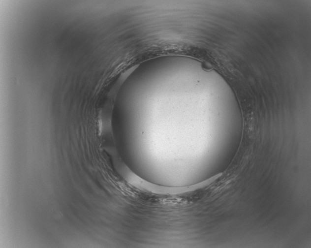 X0000057060916200510010103