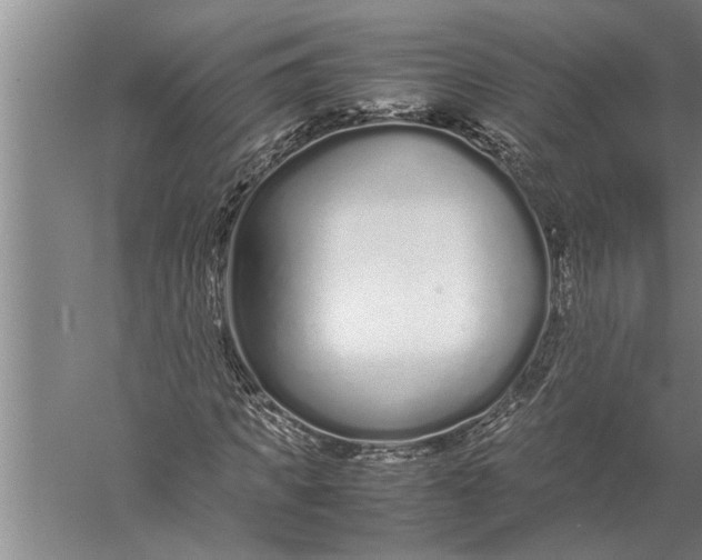 X0000057060917200510010103