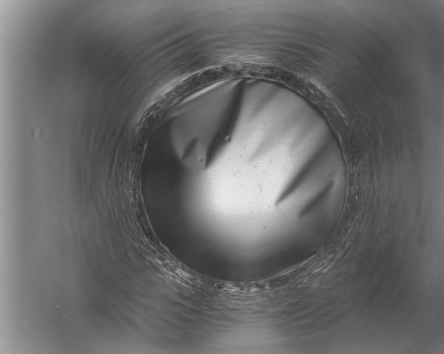 X0000057060919200510010103