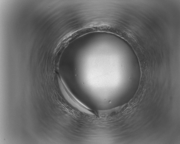 X0000057060920200510010103