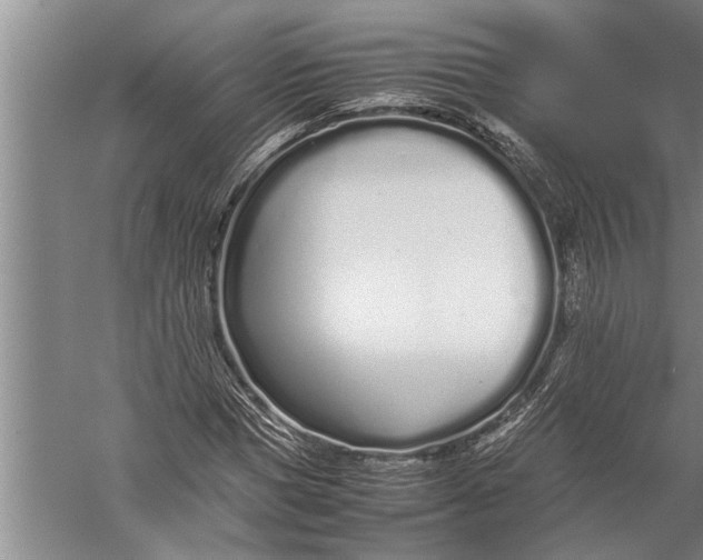 X0000057060921200510010103